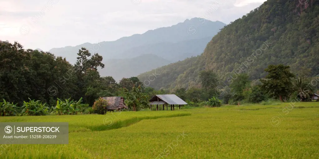 Field with mountains in the background, Thailand
