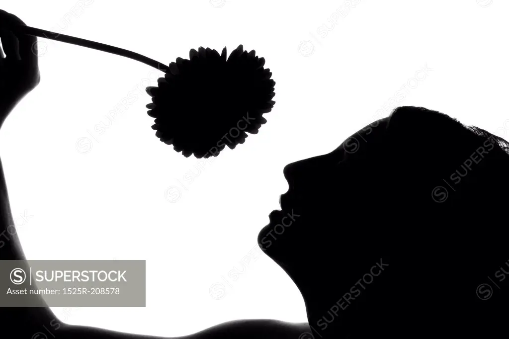 Silhouette of the woman with a flower on a white background
