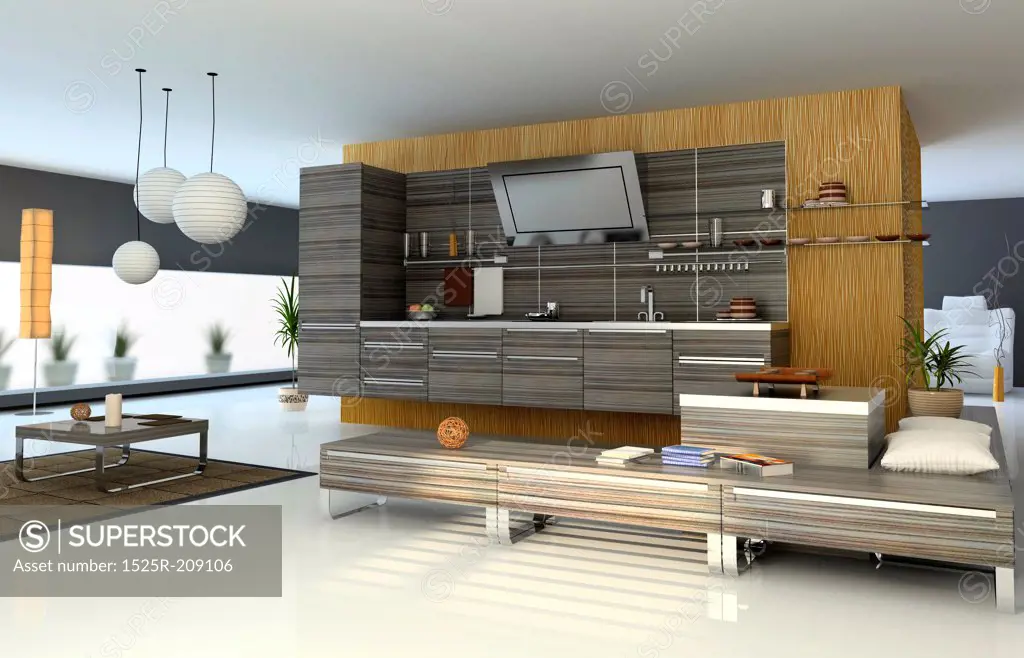 the modern apartment (kitchen detail view) 3D