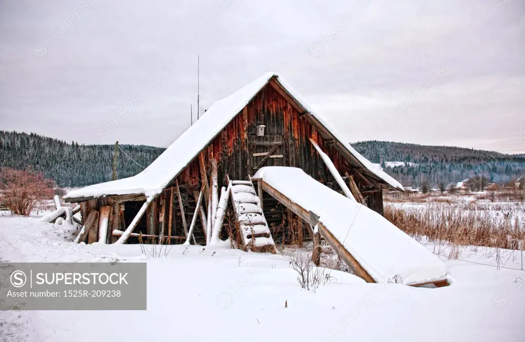 old wooden house in siberia forest