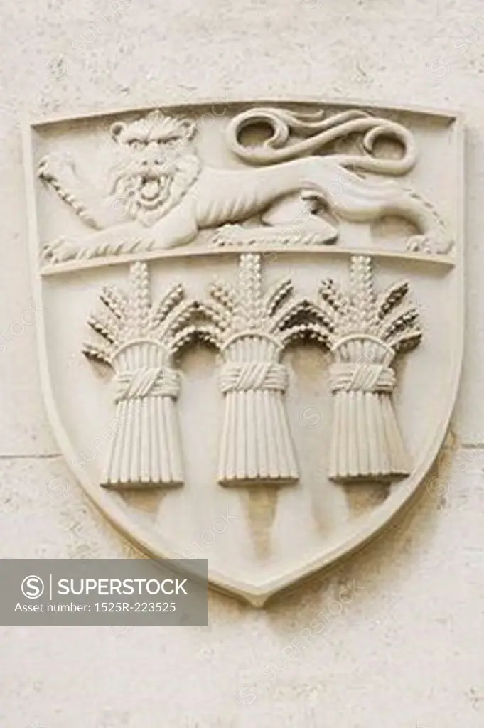 Coat of arms engraving