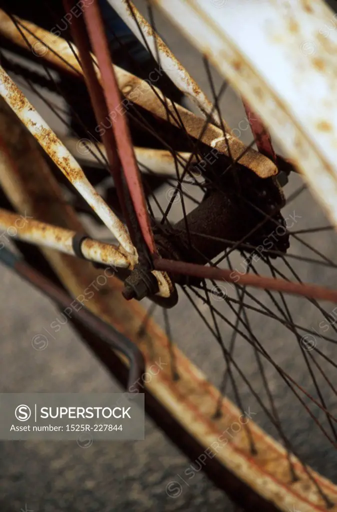 Old Bicycle Tire and Fender