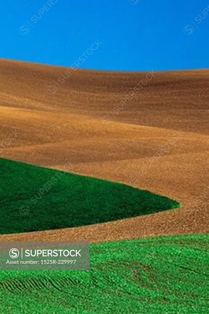 Rolling Fields and Farmland