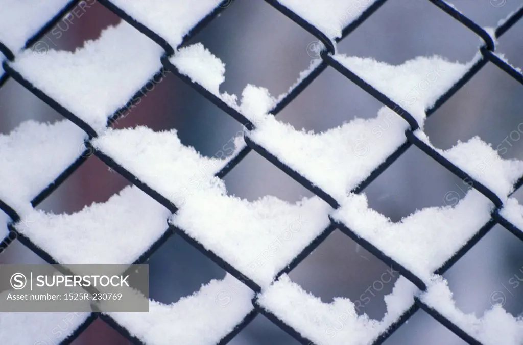 Delicate Snow Patterns in Chain Link Fence