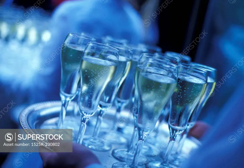 Tray of Champagne Glasses