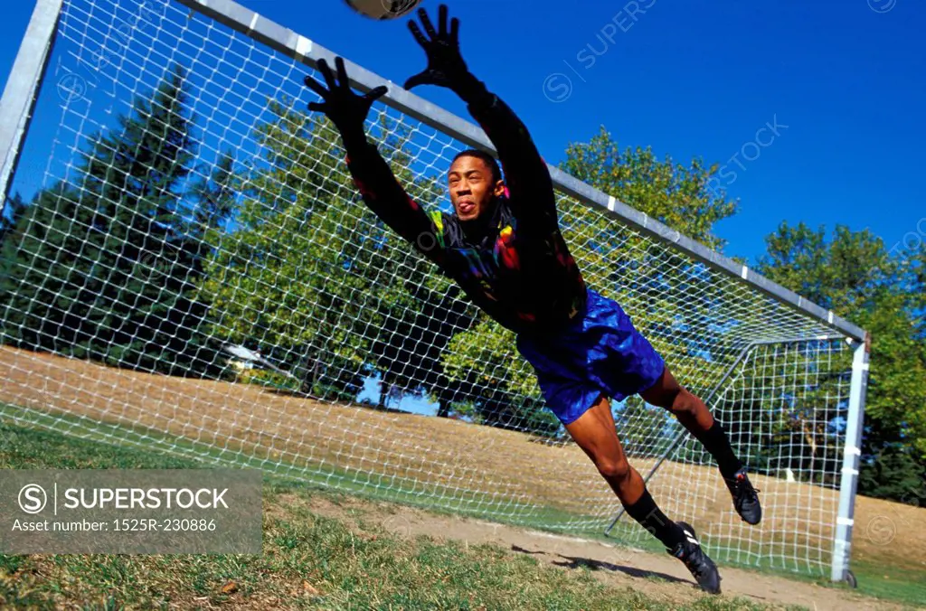 Goalie Catching a Soccer Ball
