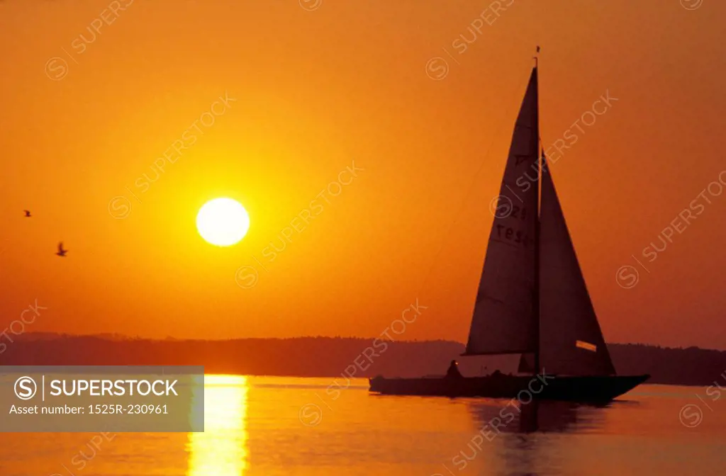 Sailboat Sailing at Sunset
