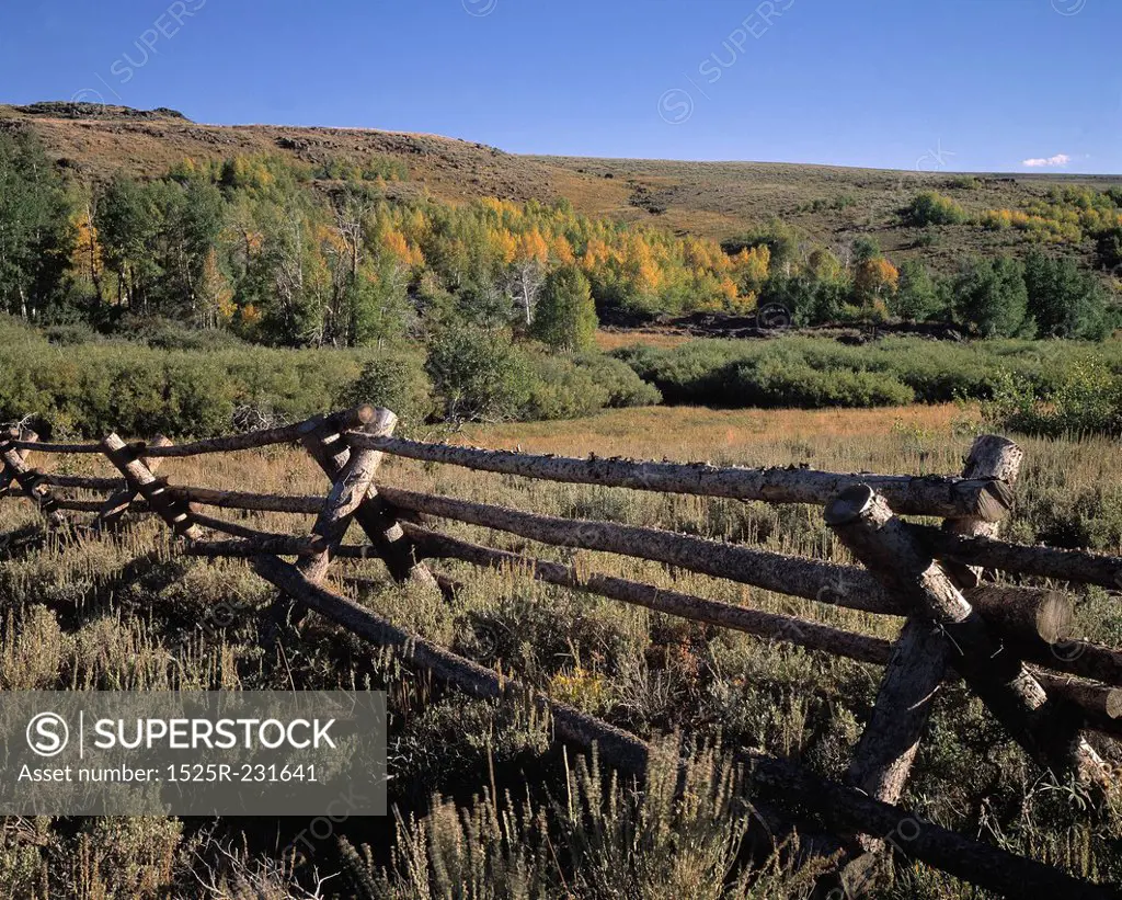 Log Fence in Mountain Country