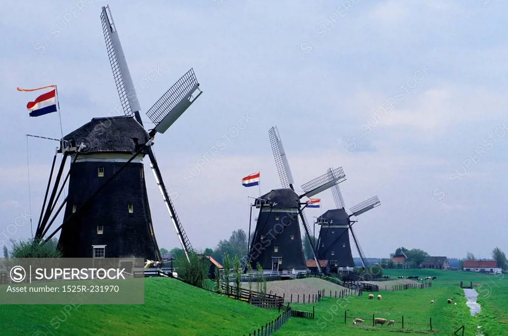 Three Windmills