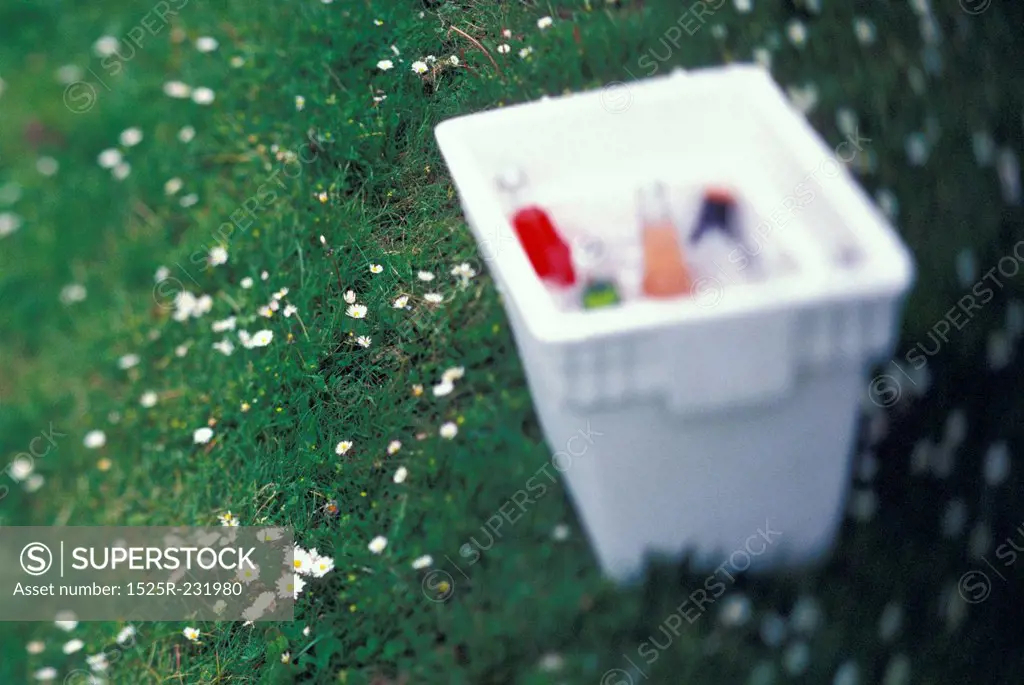 Cooler Full of Soda