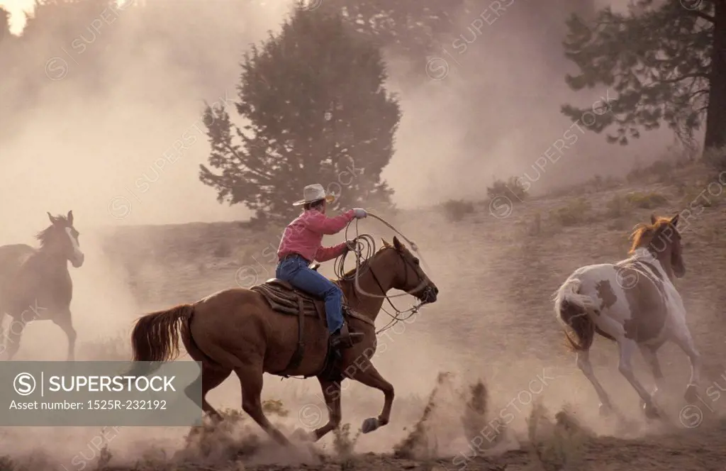 Cowboy Roping a Horse
