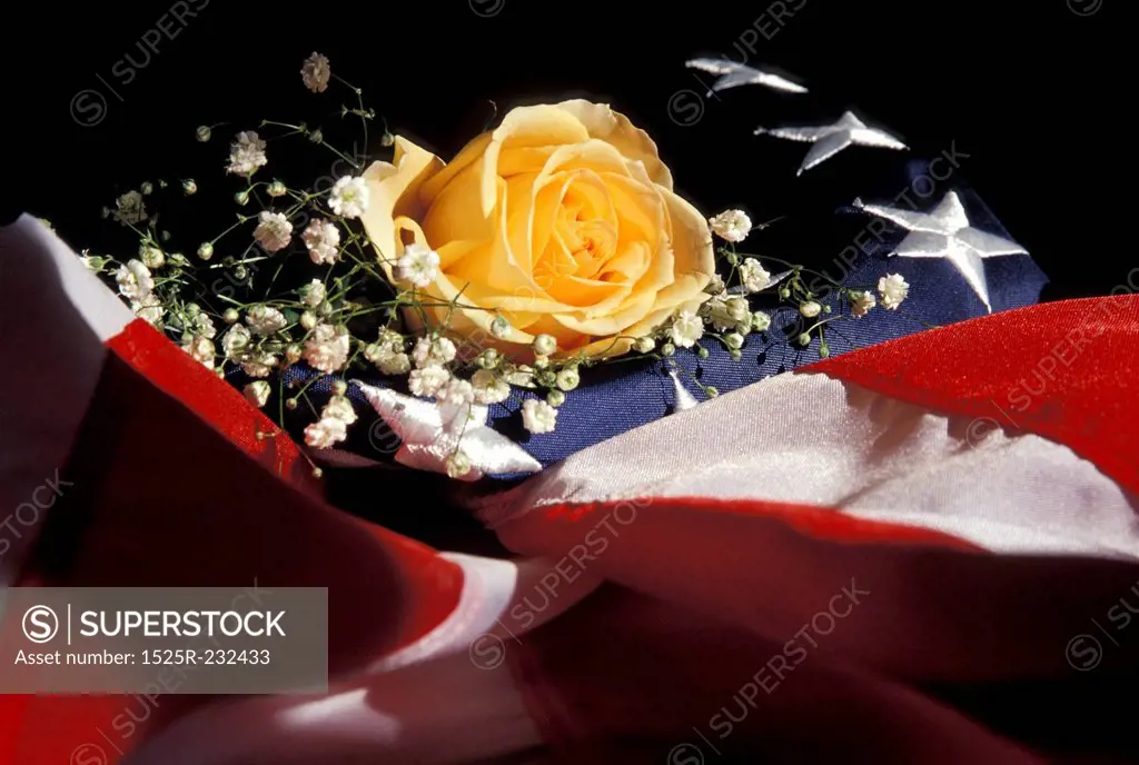 Yellow Rose on American Flag