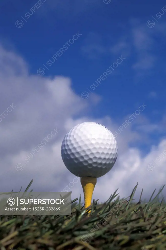 Golf Ball Sitting On Tee