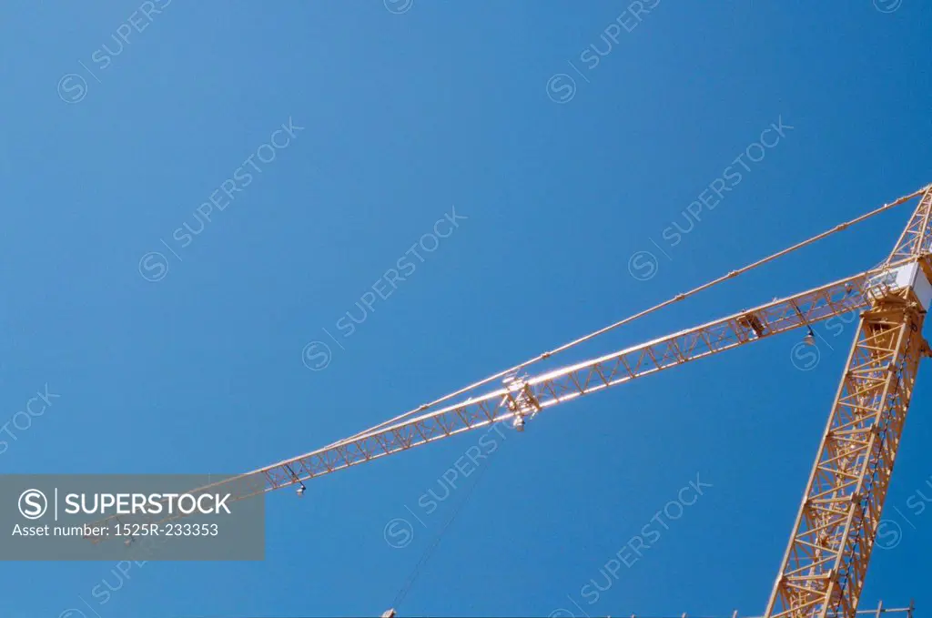 Crane