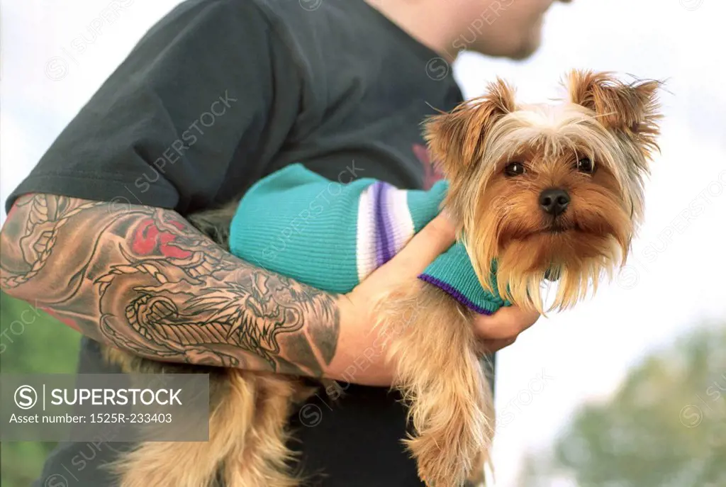 Tattooed Caucasian Man Holding A Happy Yorkshire Terrier