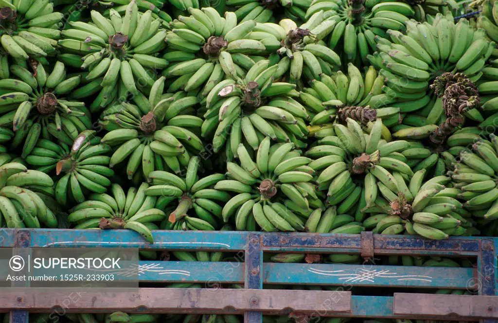 Truckload of Bananas