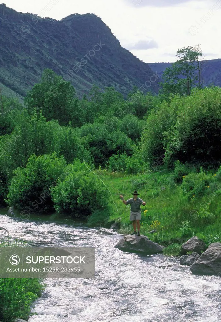 Fly Fishing In A Mountain River