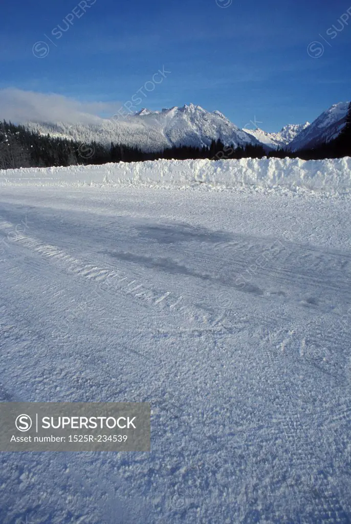 Tire Tracks In Snow