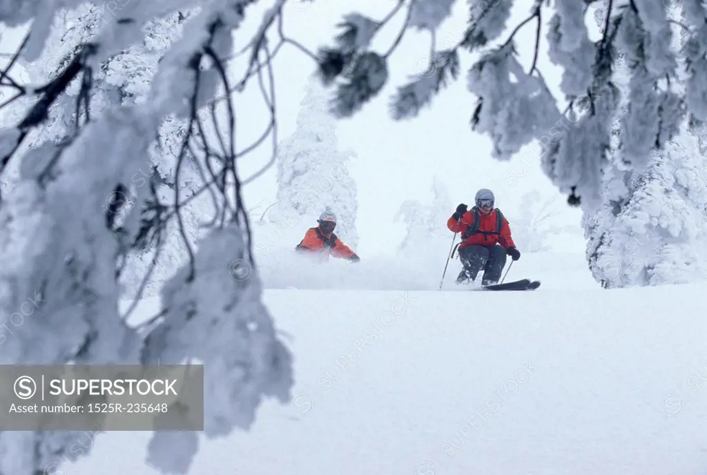 Ski Patrollers Through Trees