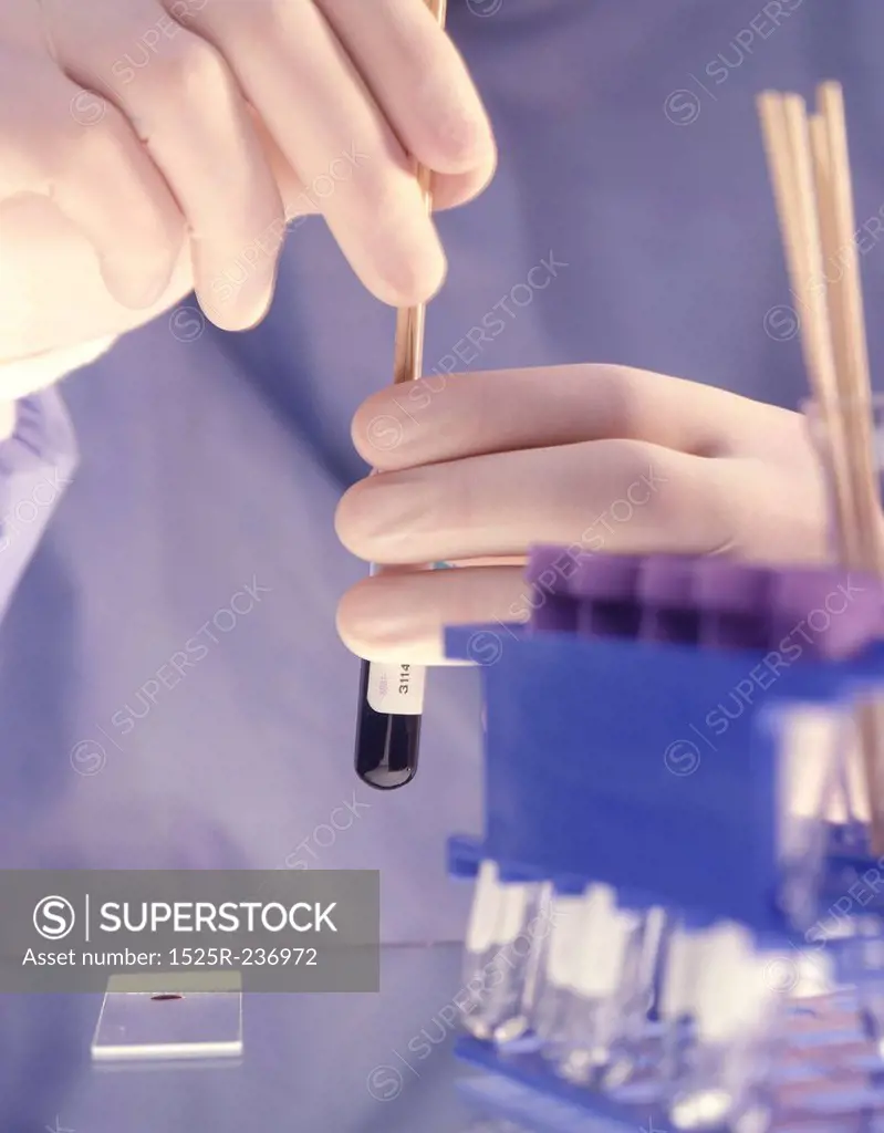 Hands Holding a Test Tube