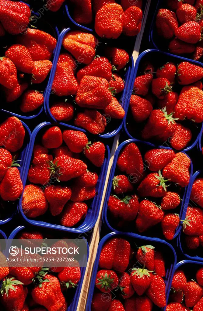 Strawberries in Pints