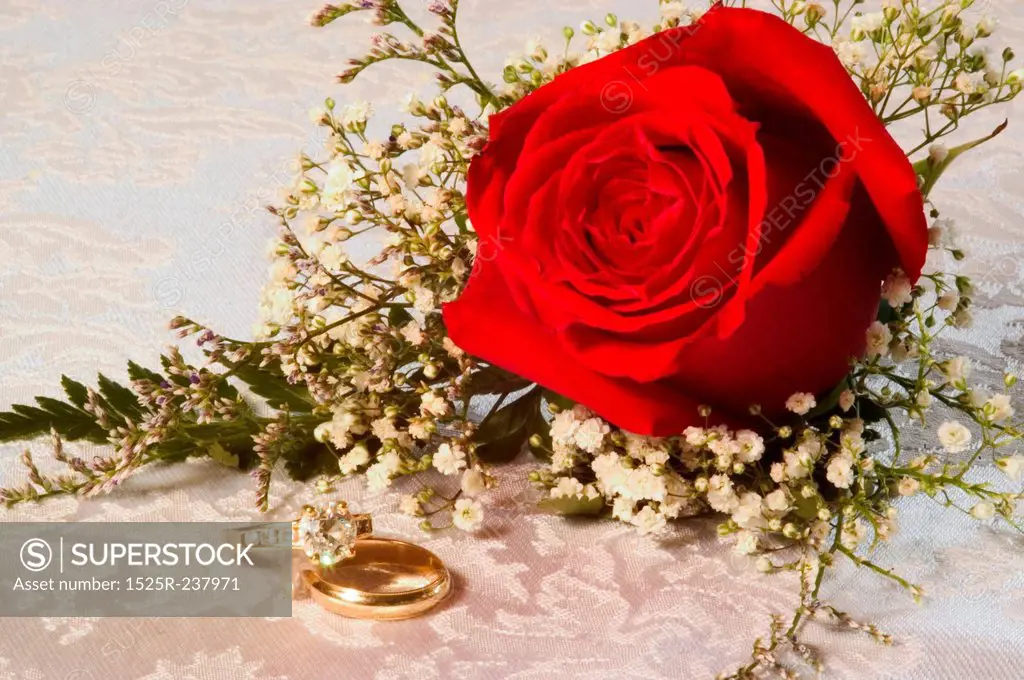 A Red Bridal Rose With Wedding Rings