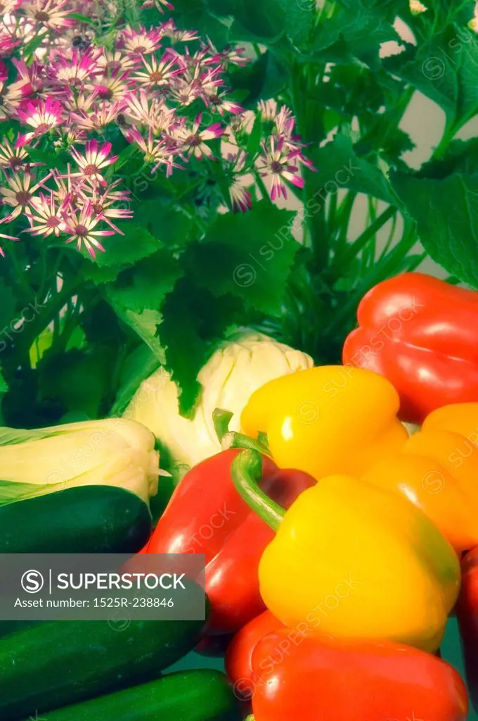 Bell Peppers And Zucchini With Leafy Greens And Purple Flowers