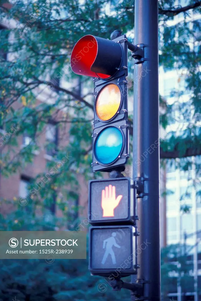 Traffic Light Shows Stop