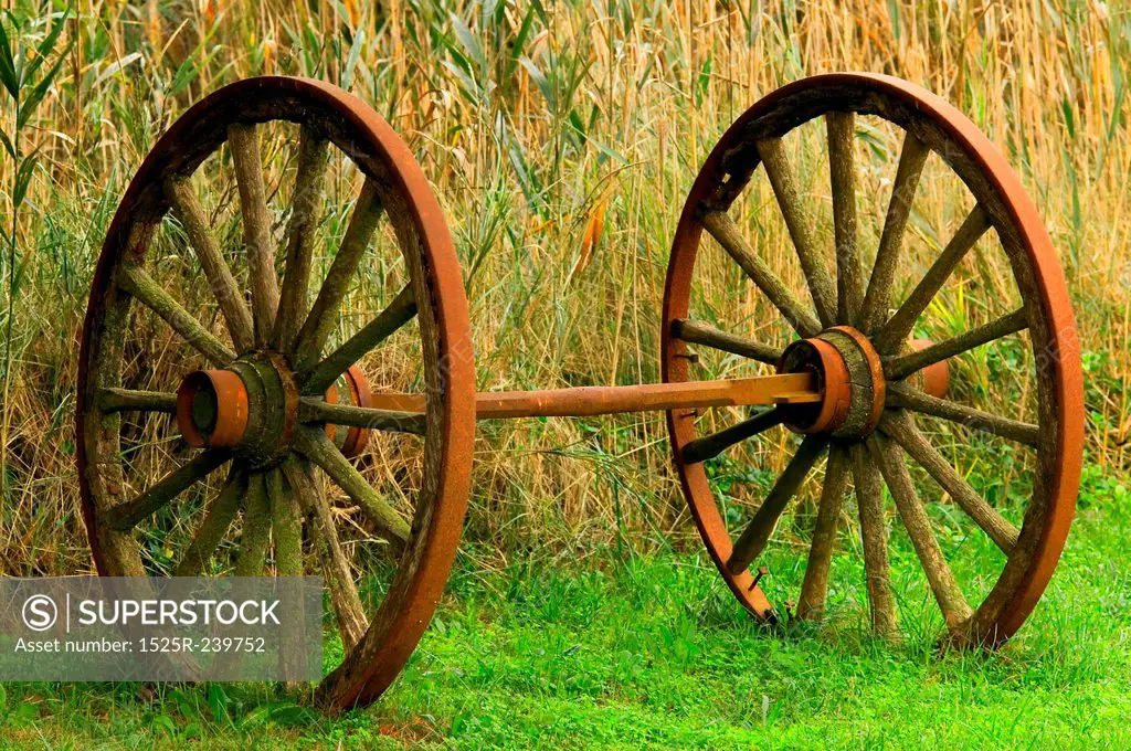 Rusty Wagon Wheels in Grass