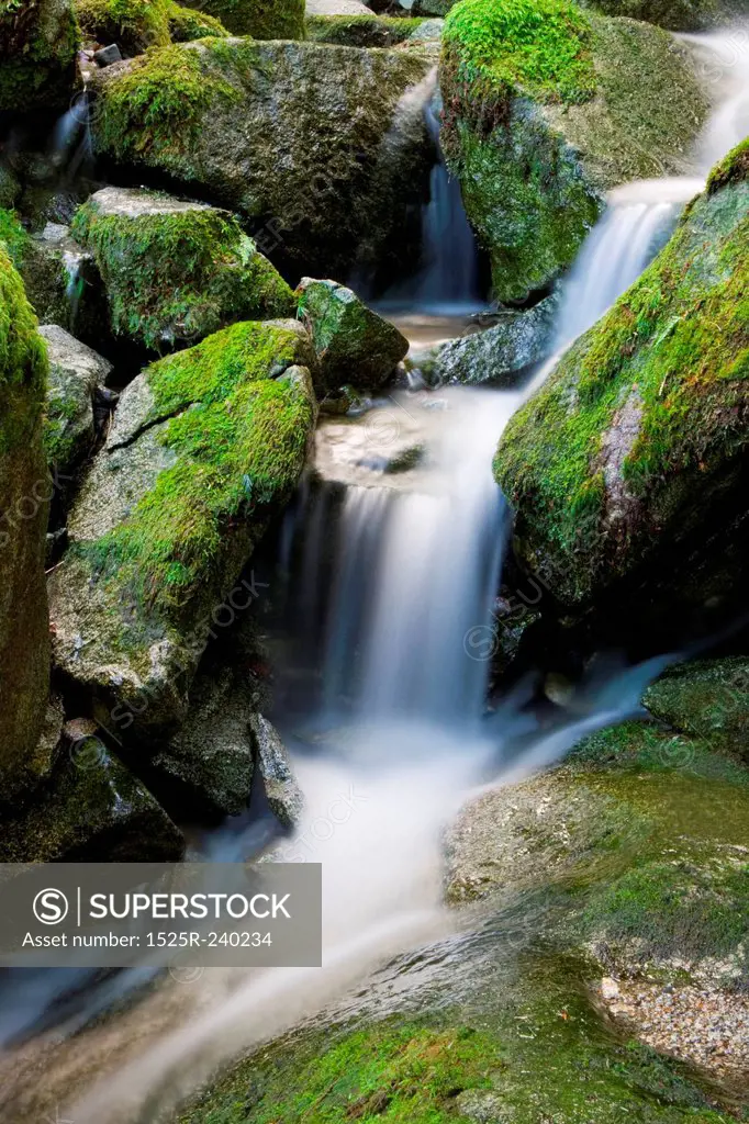 Blurred motion of stream water splashing over moss covered rocks