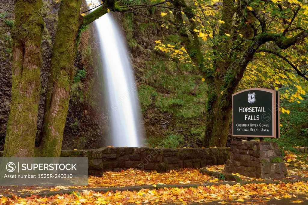 Blurred motion shot of waterfall in autumn at Horsetail Falls