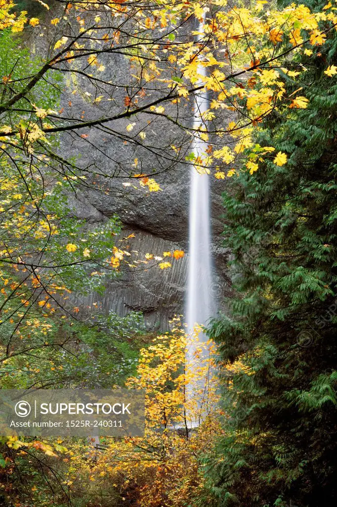 Blurred motion shot of waterfall and forest in autumn
