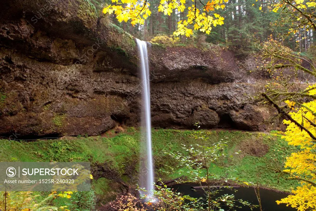 Blurred motion shot of waterfall and forest in autumn