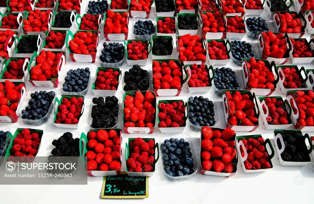 Rows of fresh, wholesome, nutritious blueberries, raspberries, blackberries and strawberries
