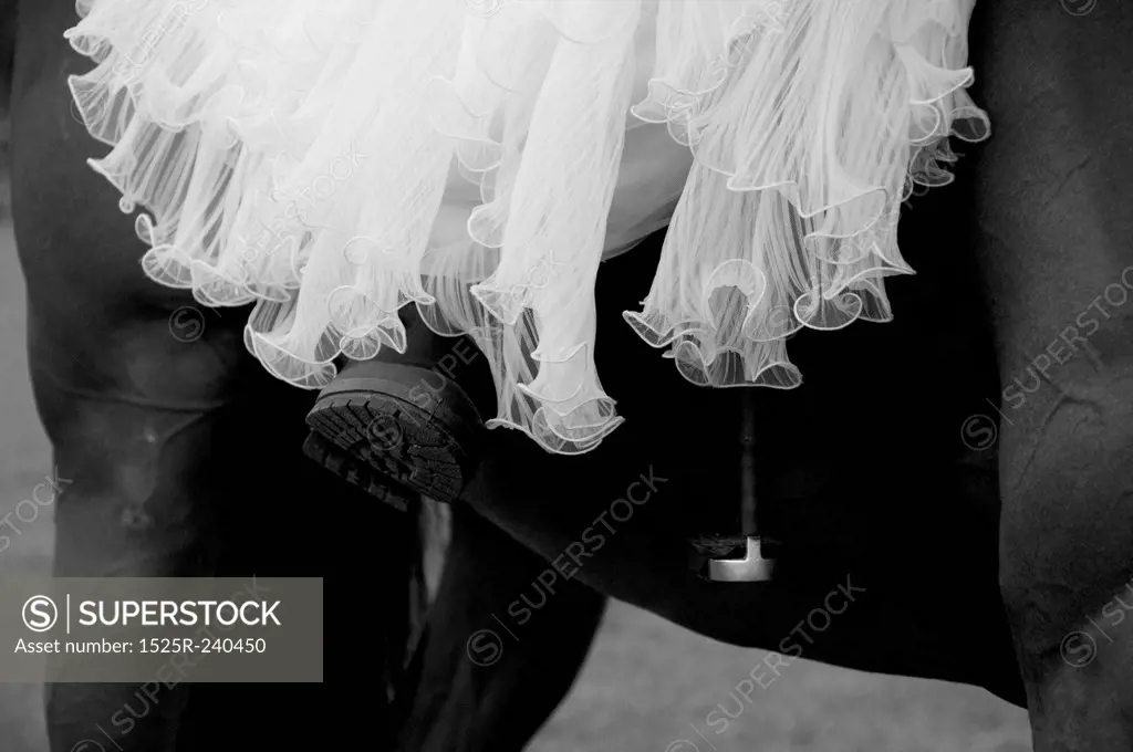 Close up of bride on a horse