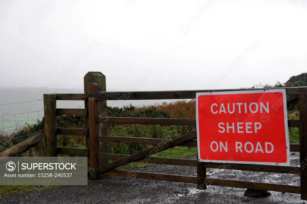 Caution sheep sign.