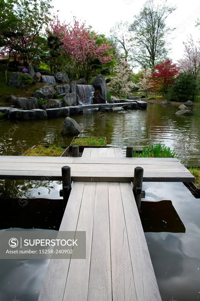 Pond in Japanese Garden