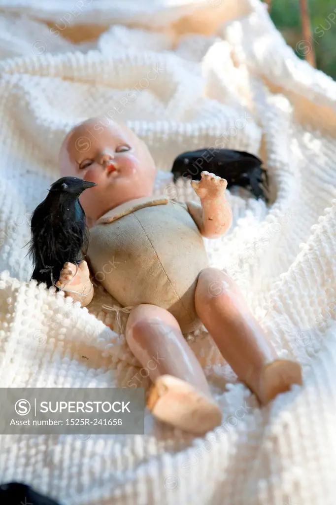 Baby Doll with Two Blackbirds