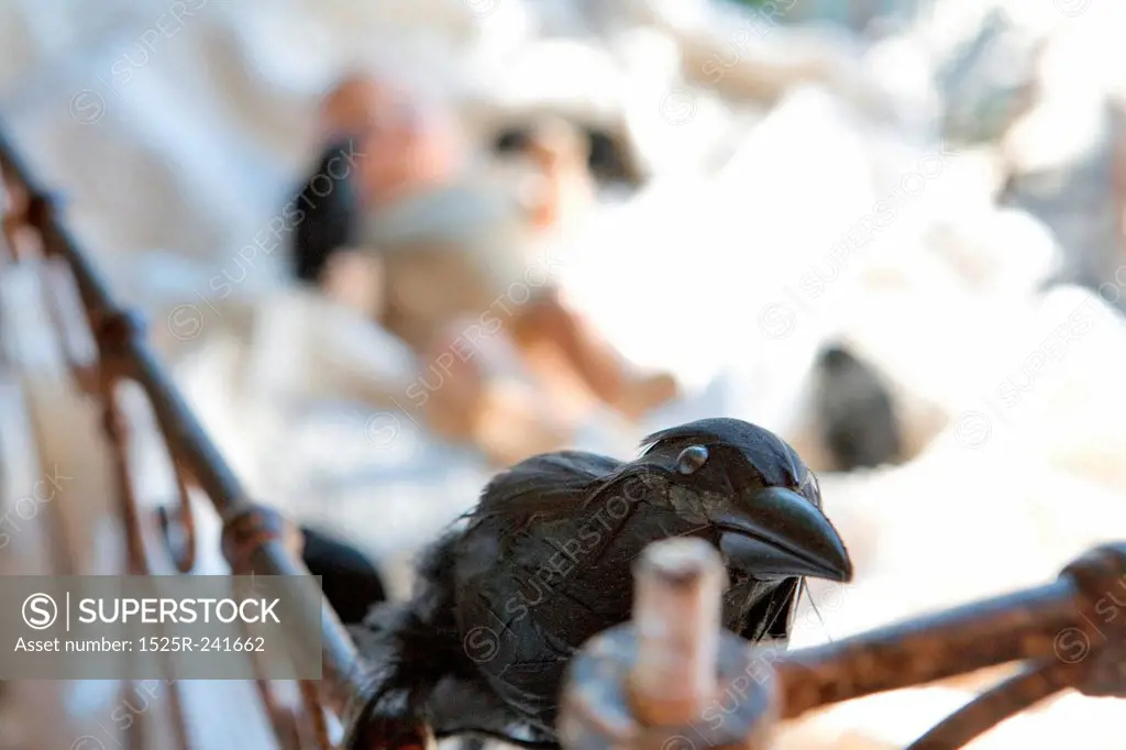 Blackbird Perched on Antique Crib Rail