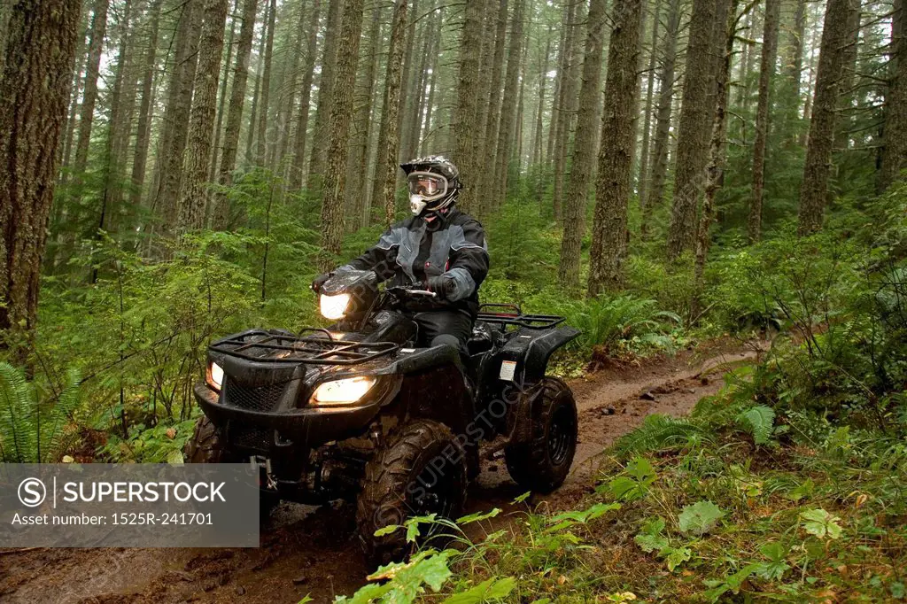 Man Riding ATV through Forest
