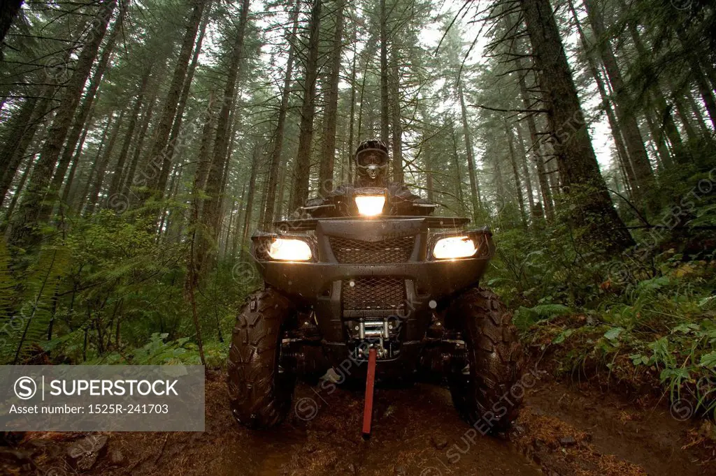 The Menacing Headlights of an ATV Destroying the Pacific Forests