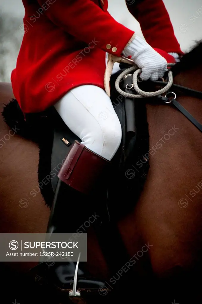 Riding boots in stirrrups on Horse