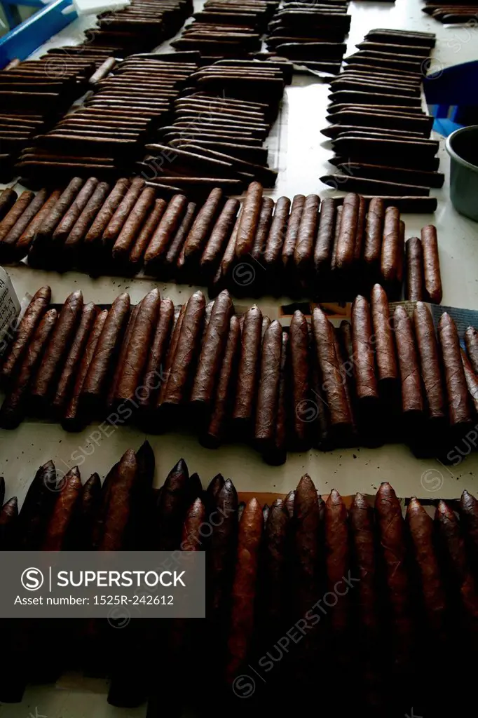 Rows of Handmade Cigars on Assembly Table