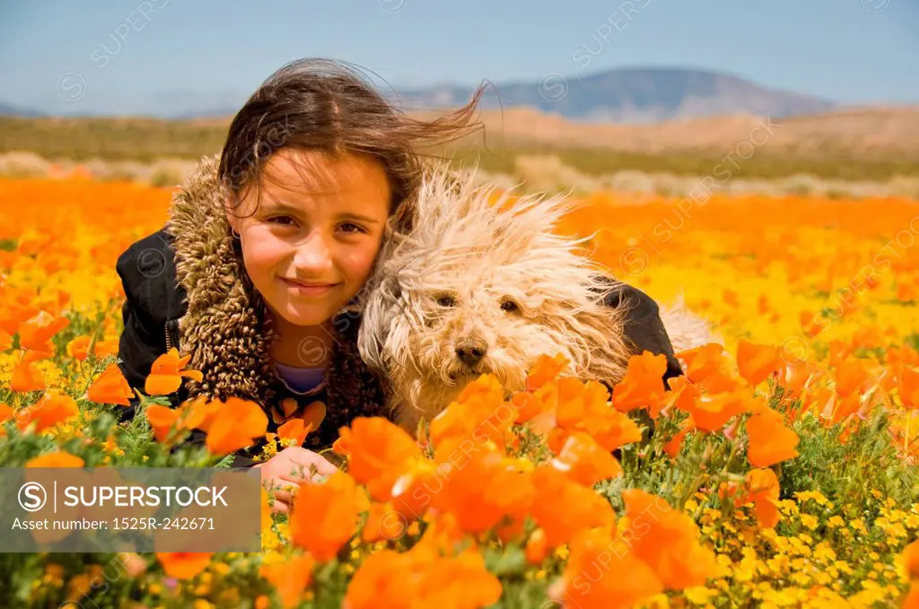 Girl Laying In Poppy Field With Dog