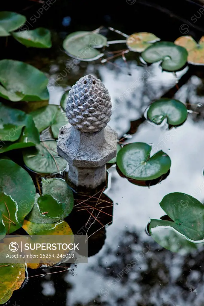 Artifact in a Pond