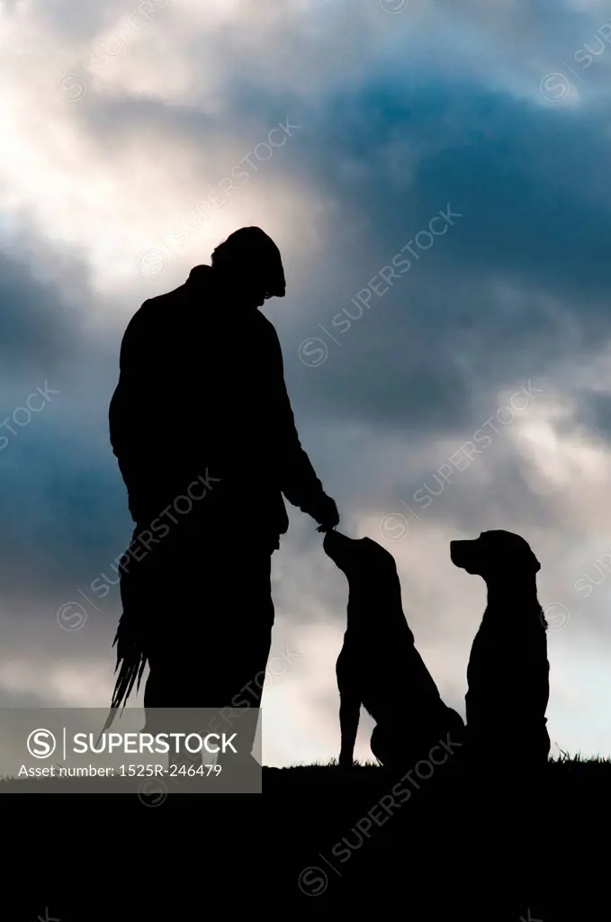 A hunter and his dogs Silhouetted against the sky
