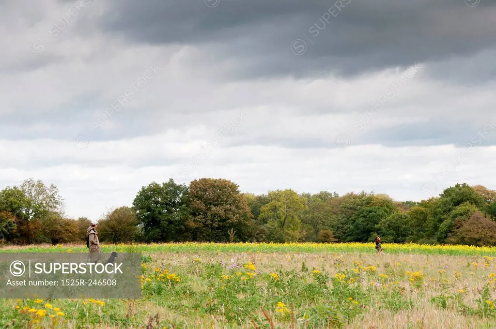 A hunter and his dogs in a field