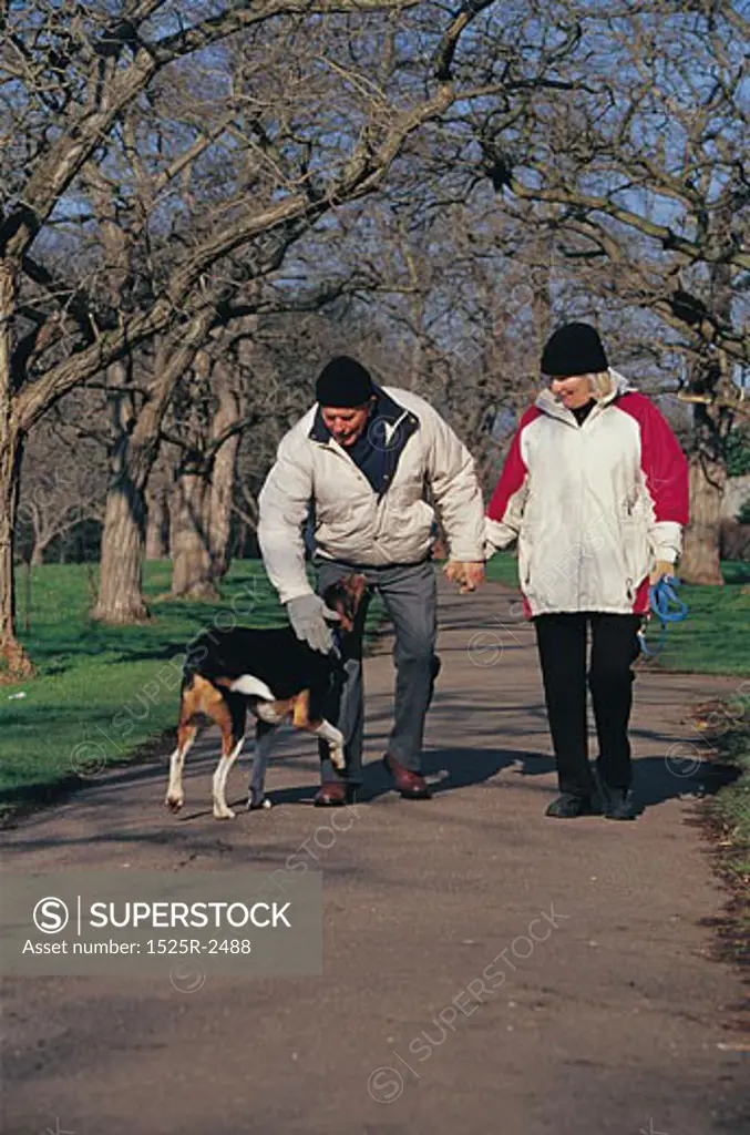 elderly couple walking their dog