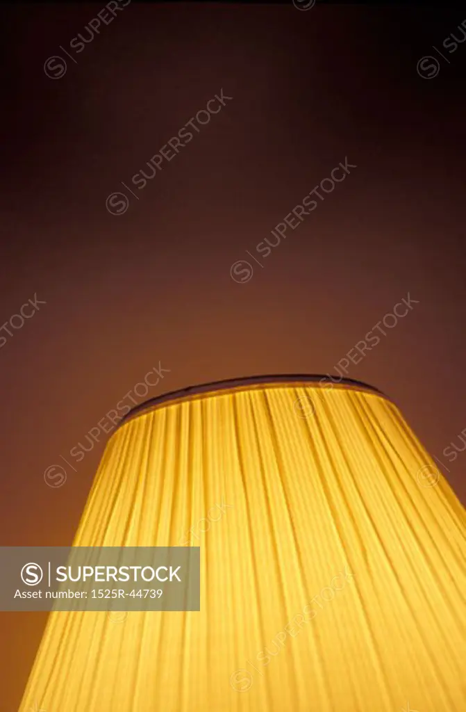 Electric Lamp at Night