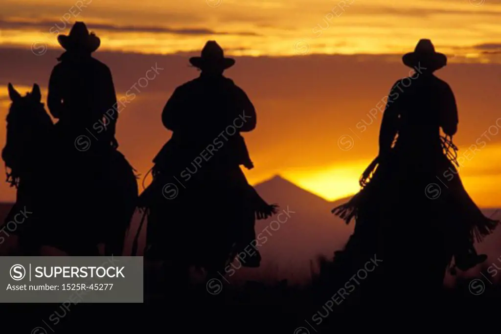 Cowboys Riding the Range